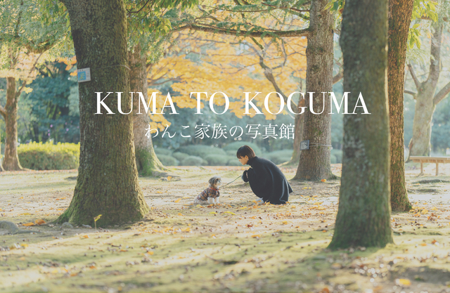 KUMA  TO KOGUMA